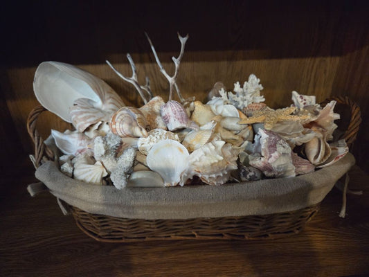 20" Basket of Shells Centerpiece