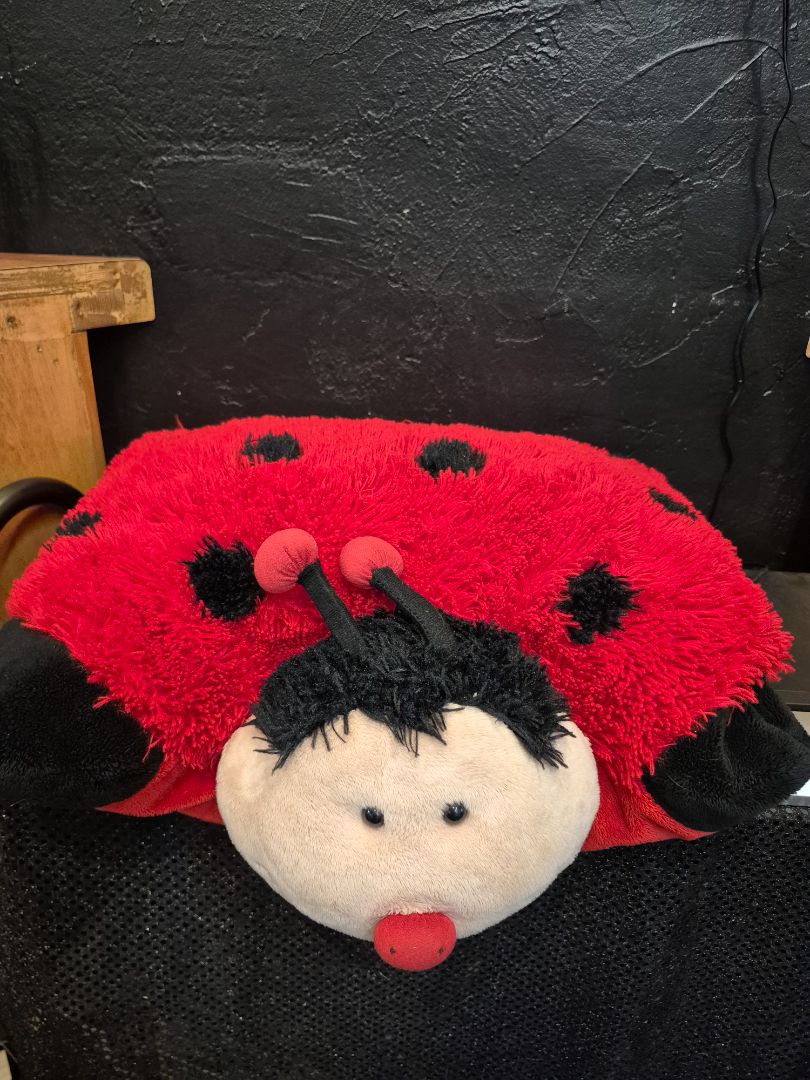 2010 Retired Lady Bug Pillow Pet