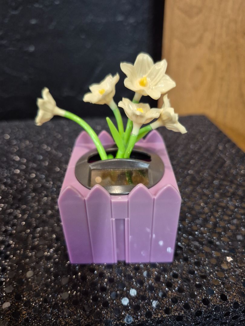 Solar Dancing Flower