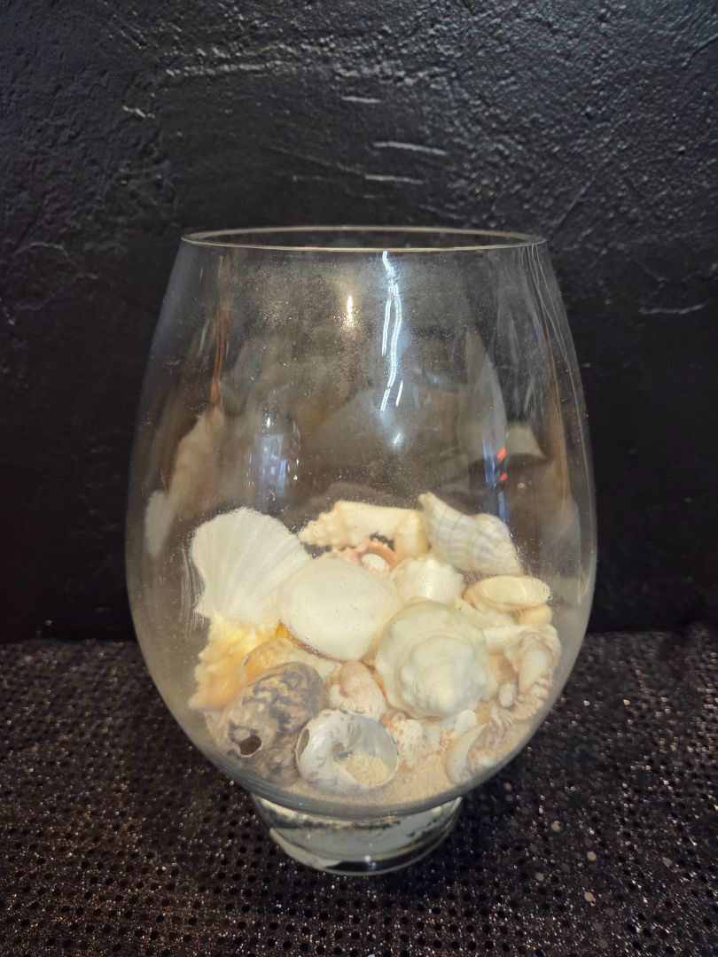 Glass Bowl with Shells