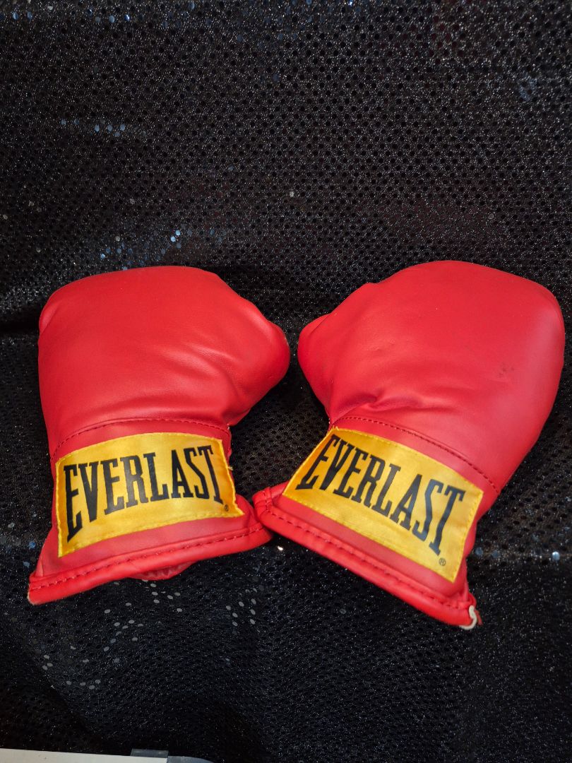 Red Everlast Boxing gloves Small