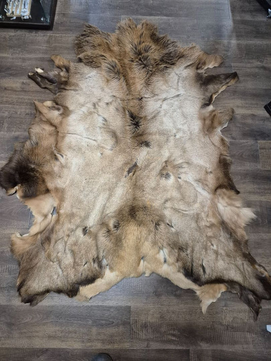 Elk Hide (as is holes for when it was shot)