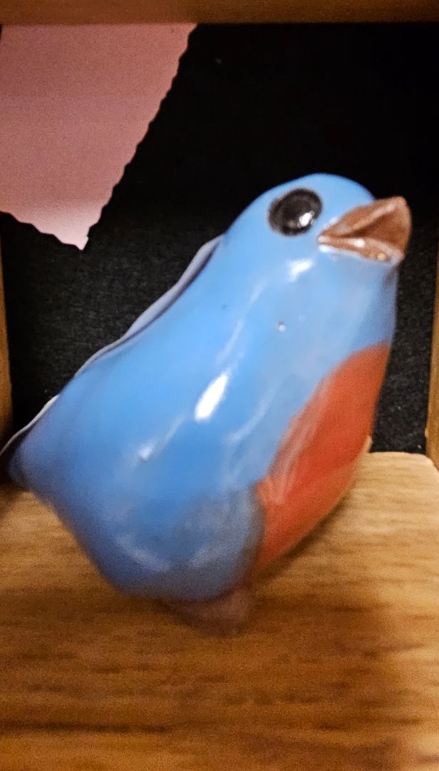 Red clay Blue bird LR
