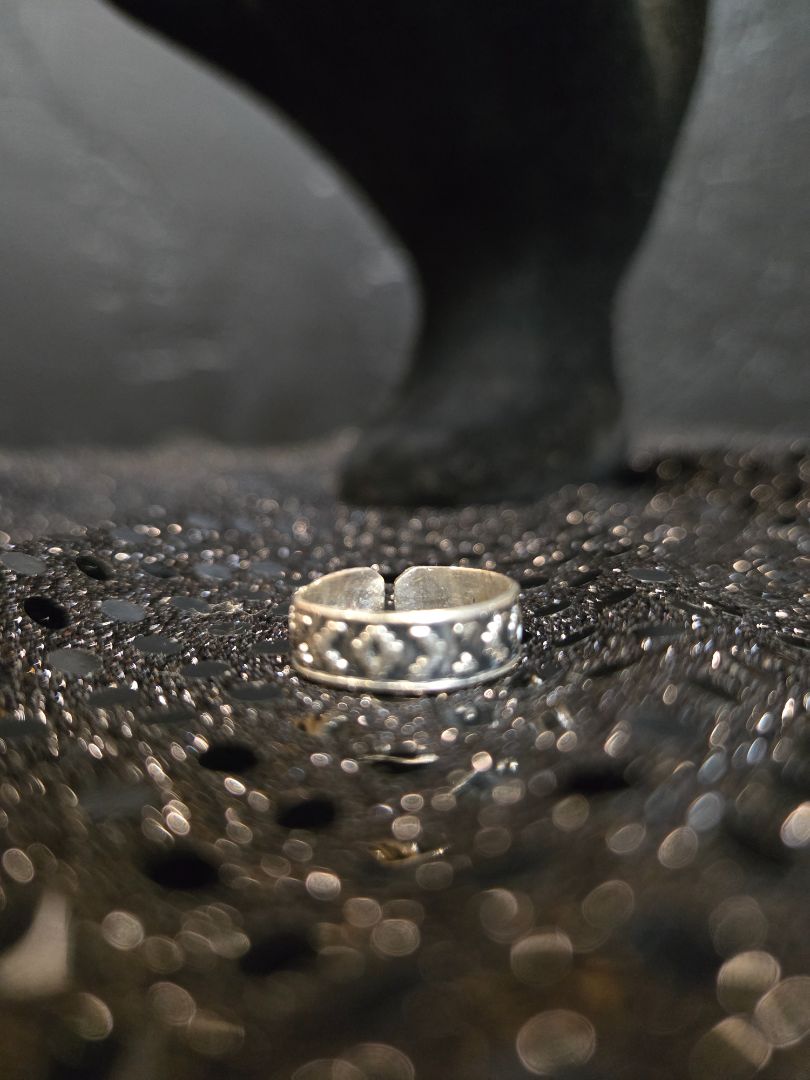 Silver Toe rings