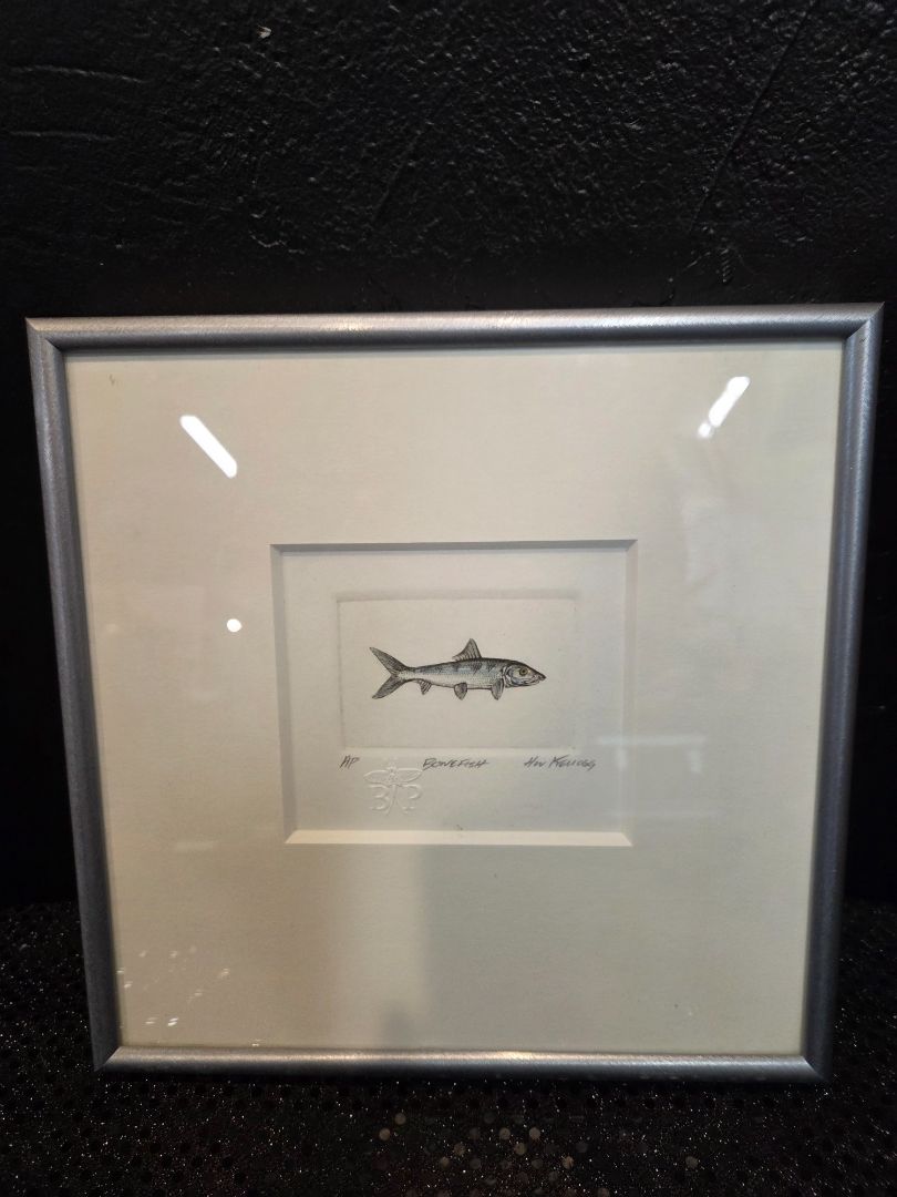 Hand Drawn AP Bonefish Framed
