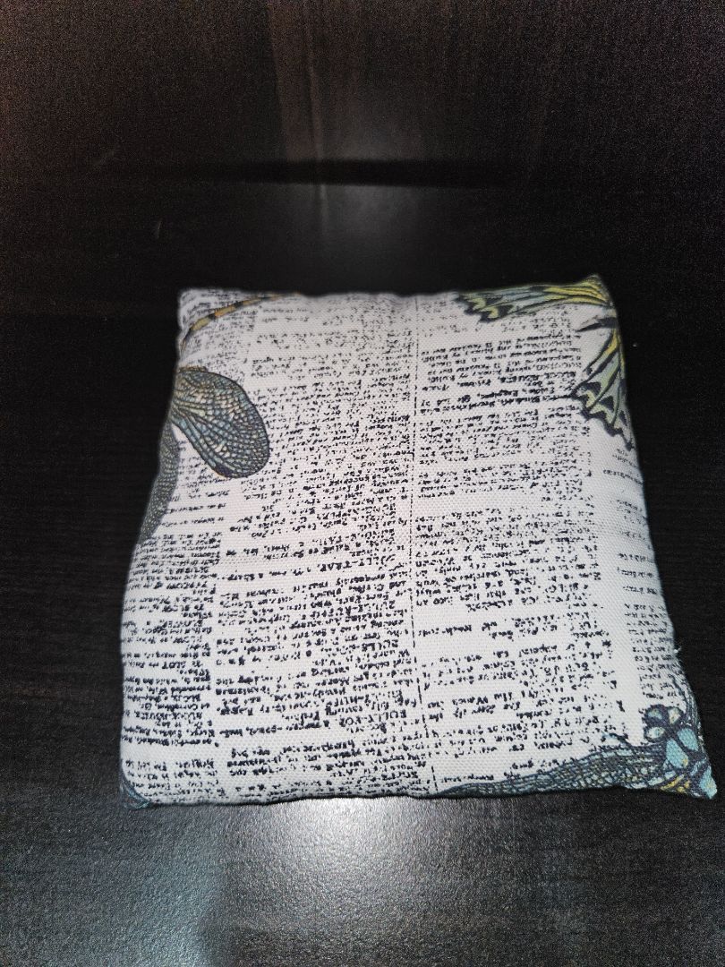 Dragonfly Newspaper Rice/Bean packs Rice/ Bean packs, Medium