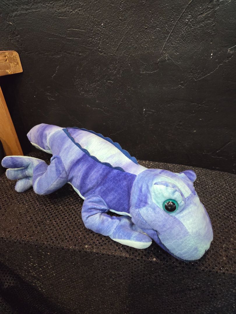 The Mixed Up Cameleon