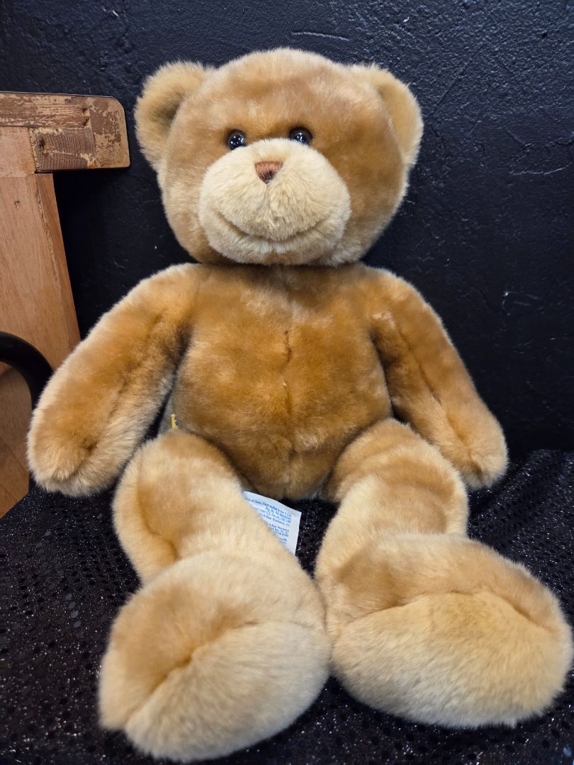 Build a Bear Bear