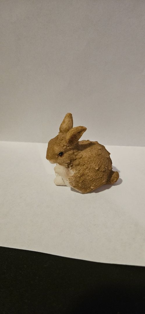 Ganz bunny