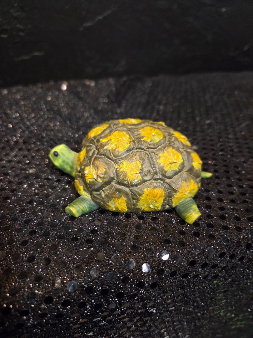 Enesco Home Grown Pineapple Turtle