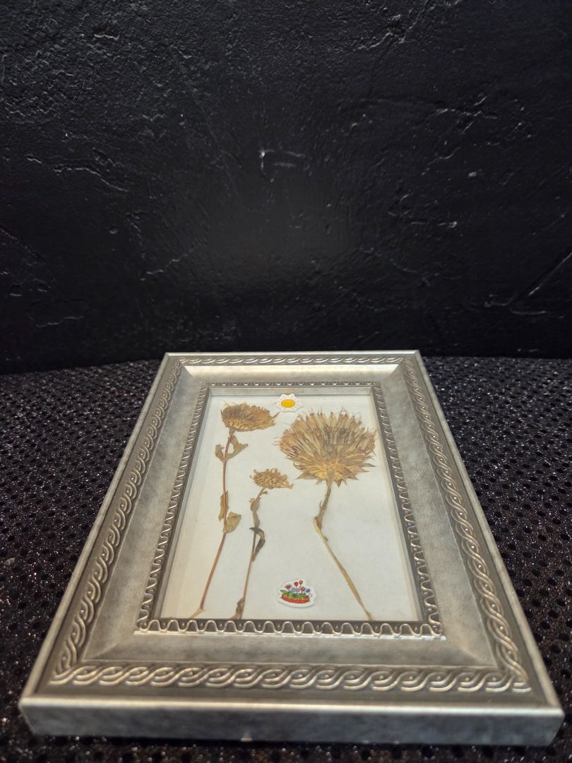 Framed Pressed Flowers
