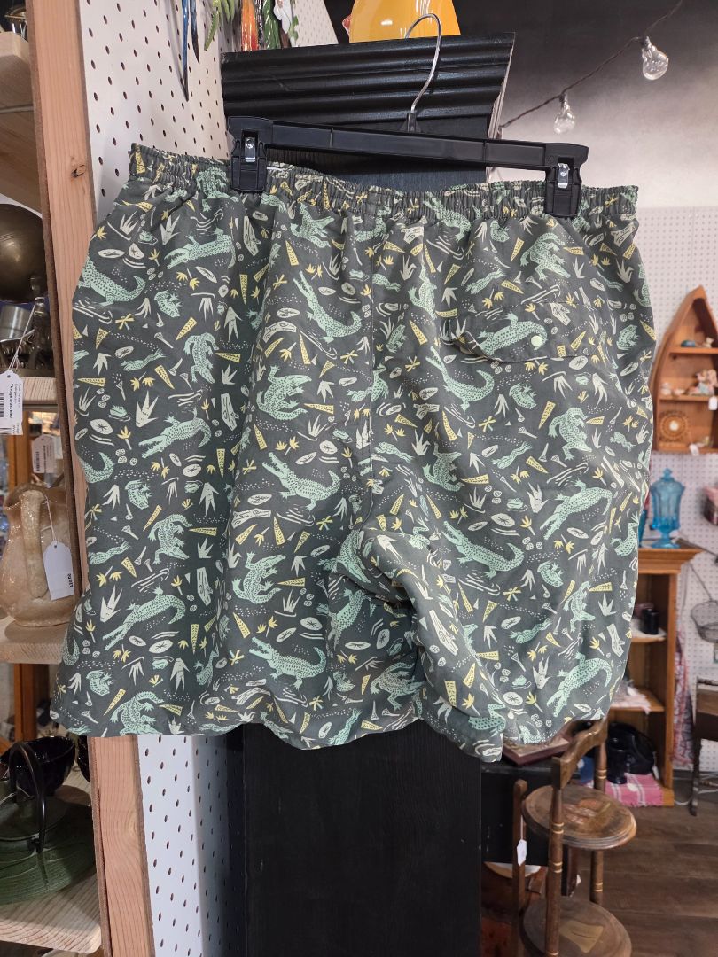 Patagonia Baggie Shorts
