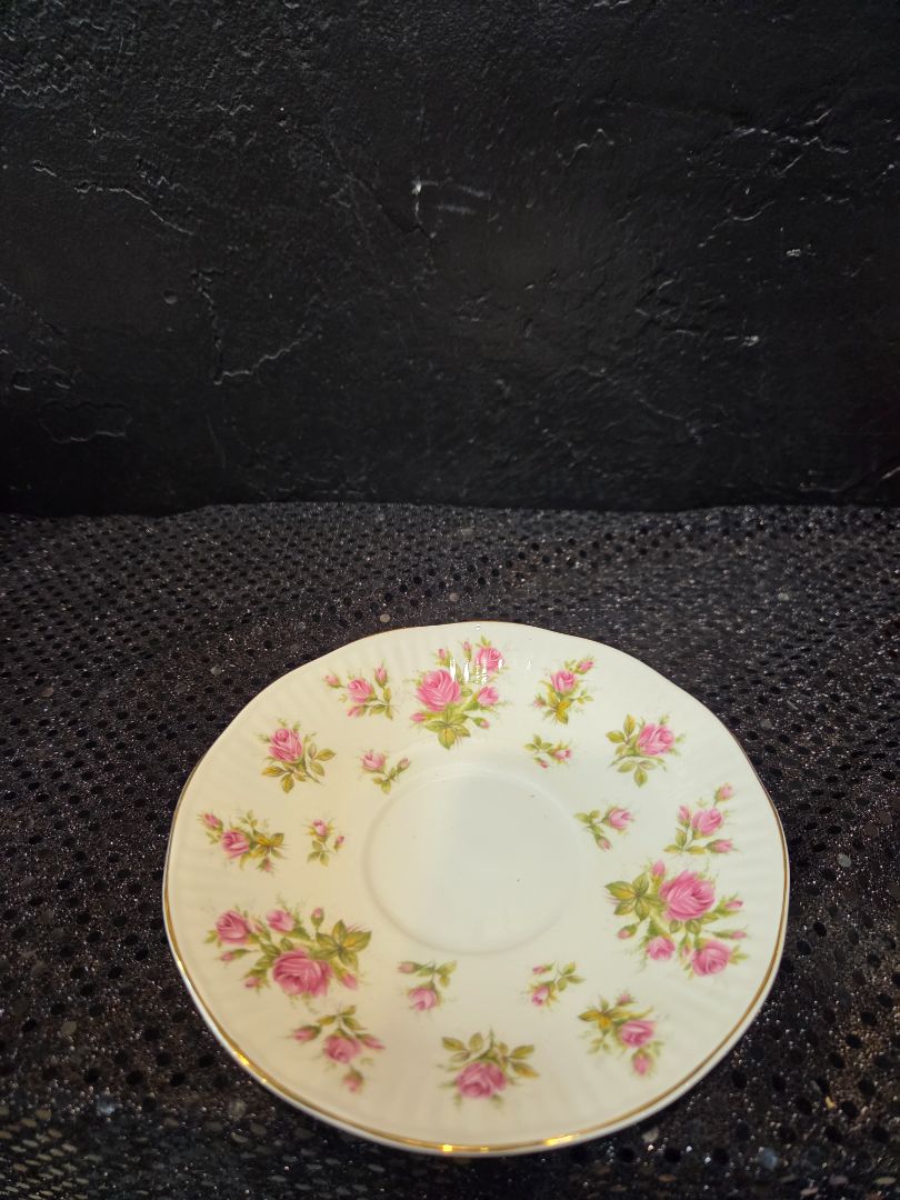 Vintage Queens Teacup & Saucer Countryside Series Pink Moss