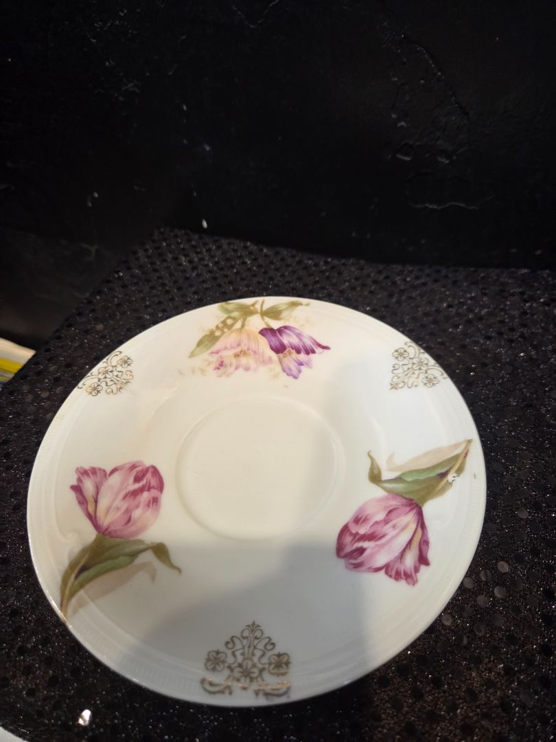 Mignon Bavarian Pink Roses Mustache Cup and Saucer