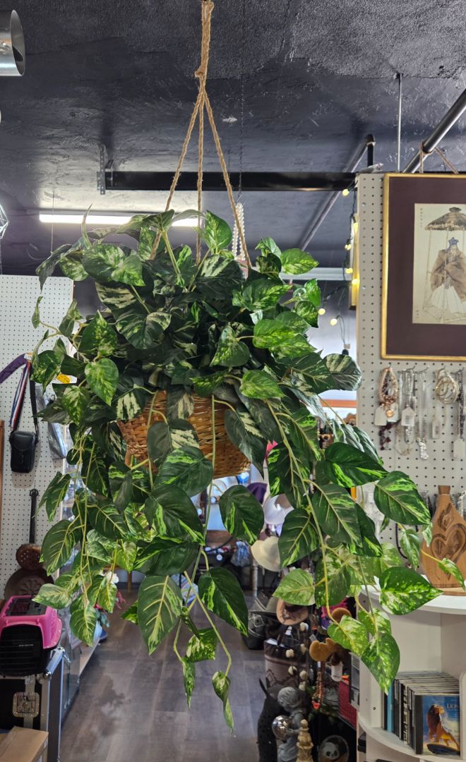 Artificial Pothos Plant In Hanging Basket