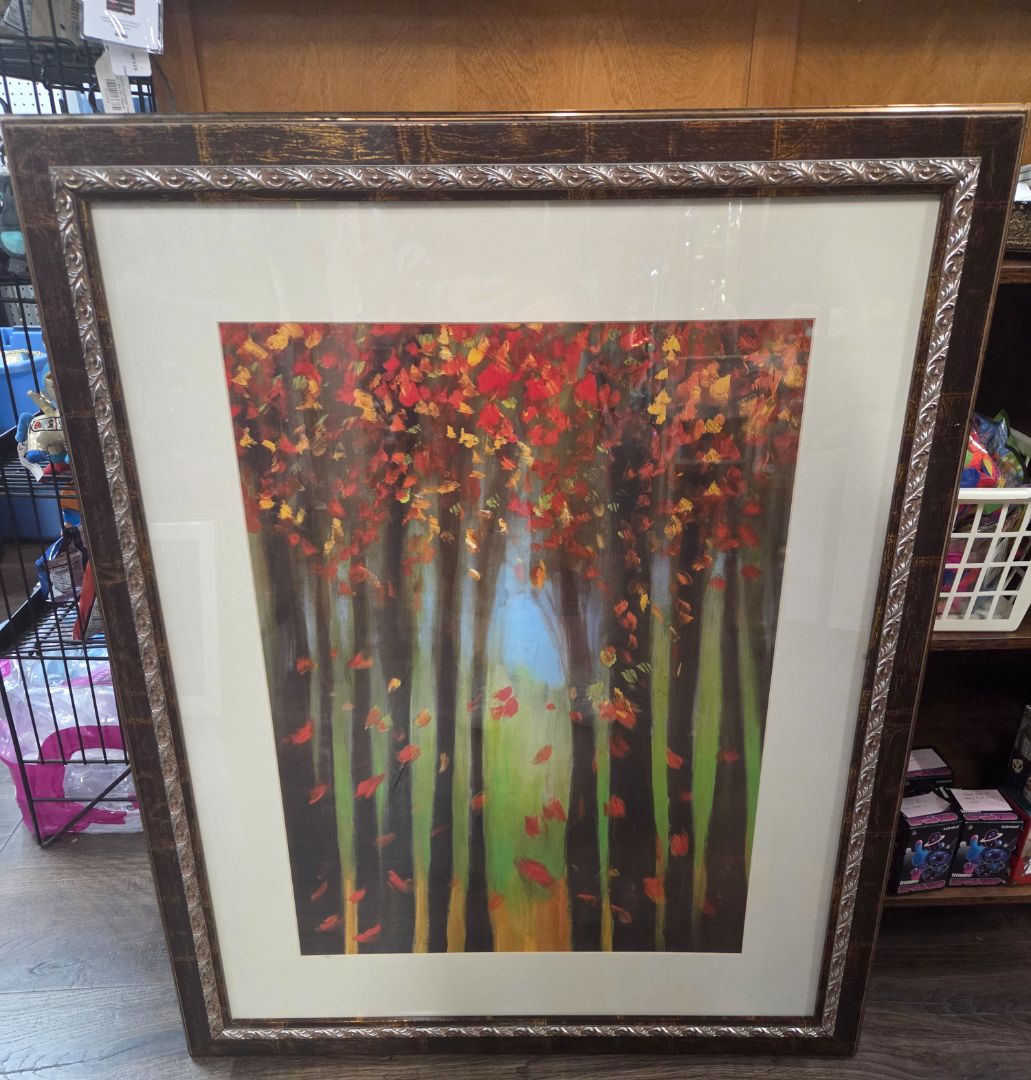 Colors of Fall Framed Print