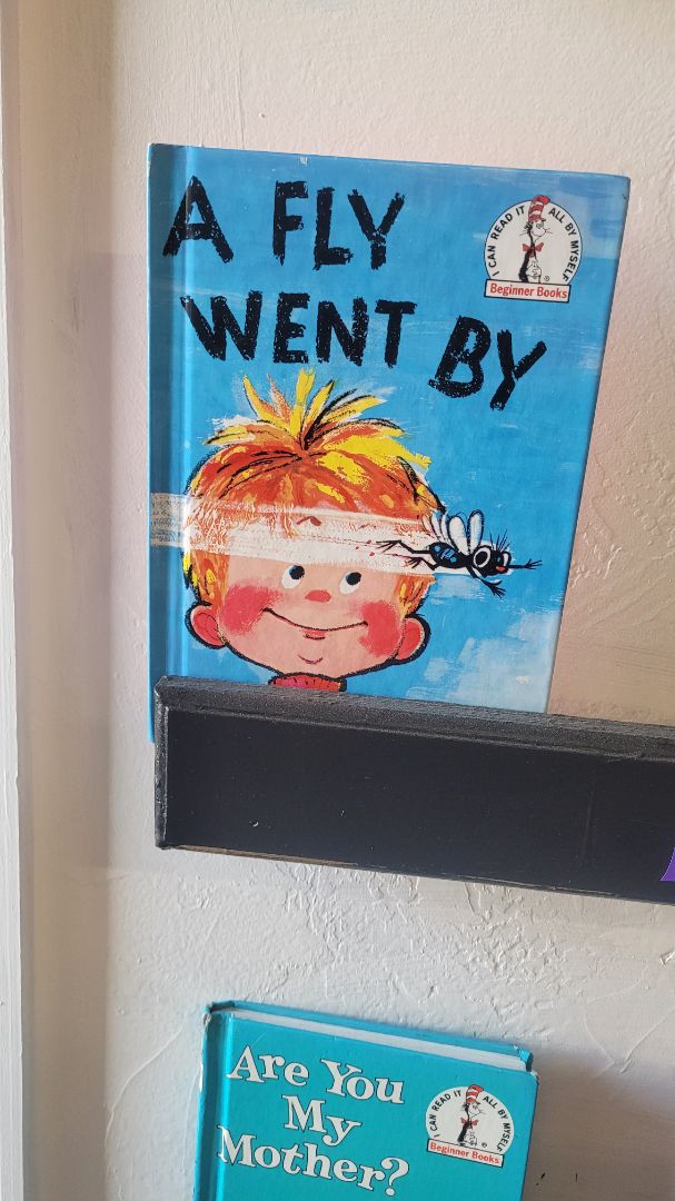 Dr. Seuss Book