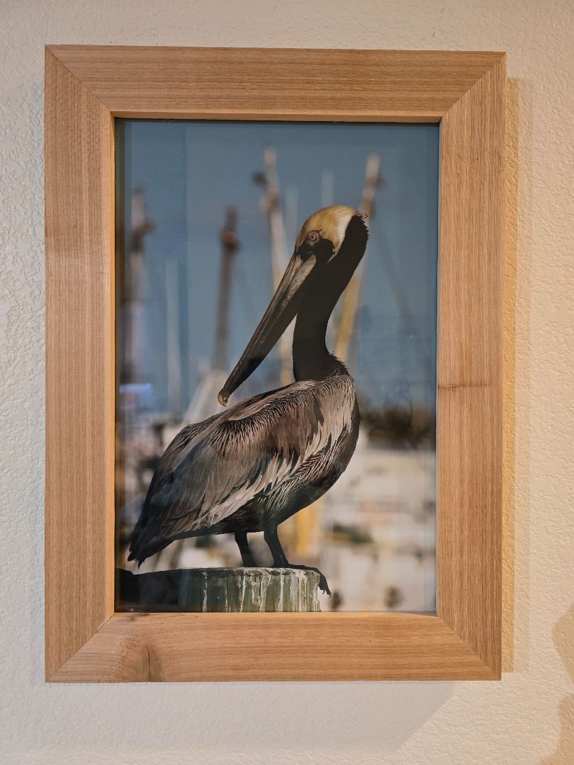 Photo Wildlife Photography, 22 x 16 x 1.25