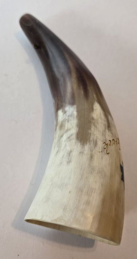 Mid-Century Cattle Horn