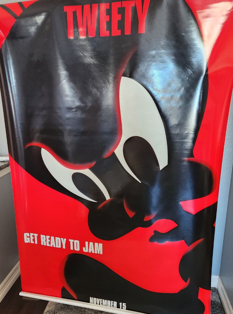 Space Jam Banner-Tweedy