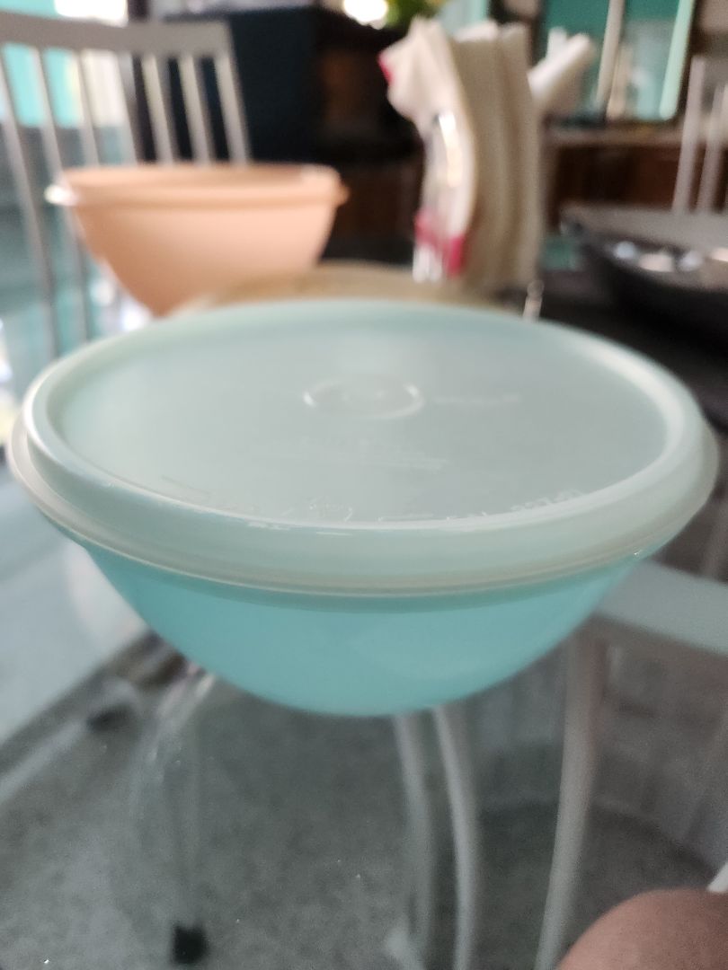 TW WONDERLIER BLUE BOWL/LID