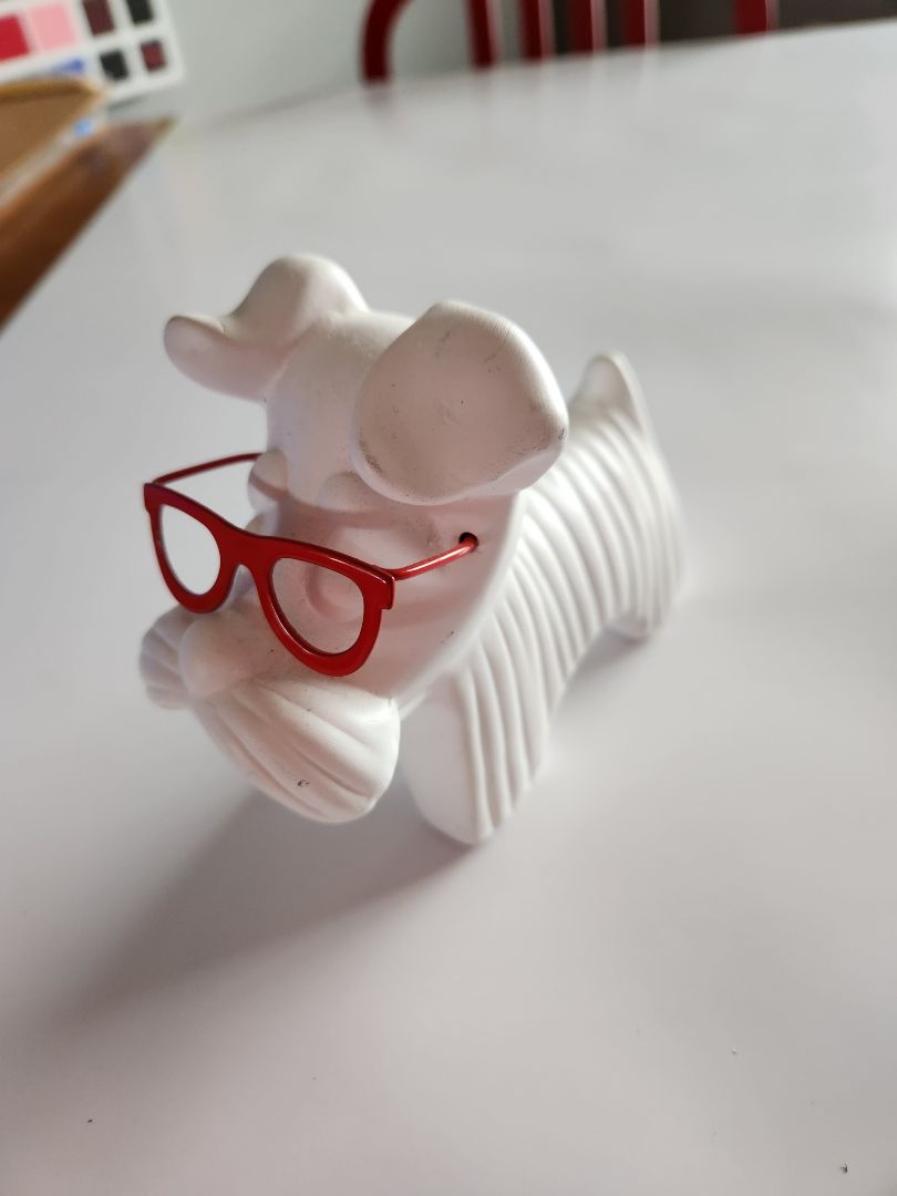 Scottish Terrier with red glasses
