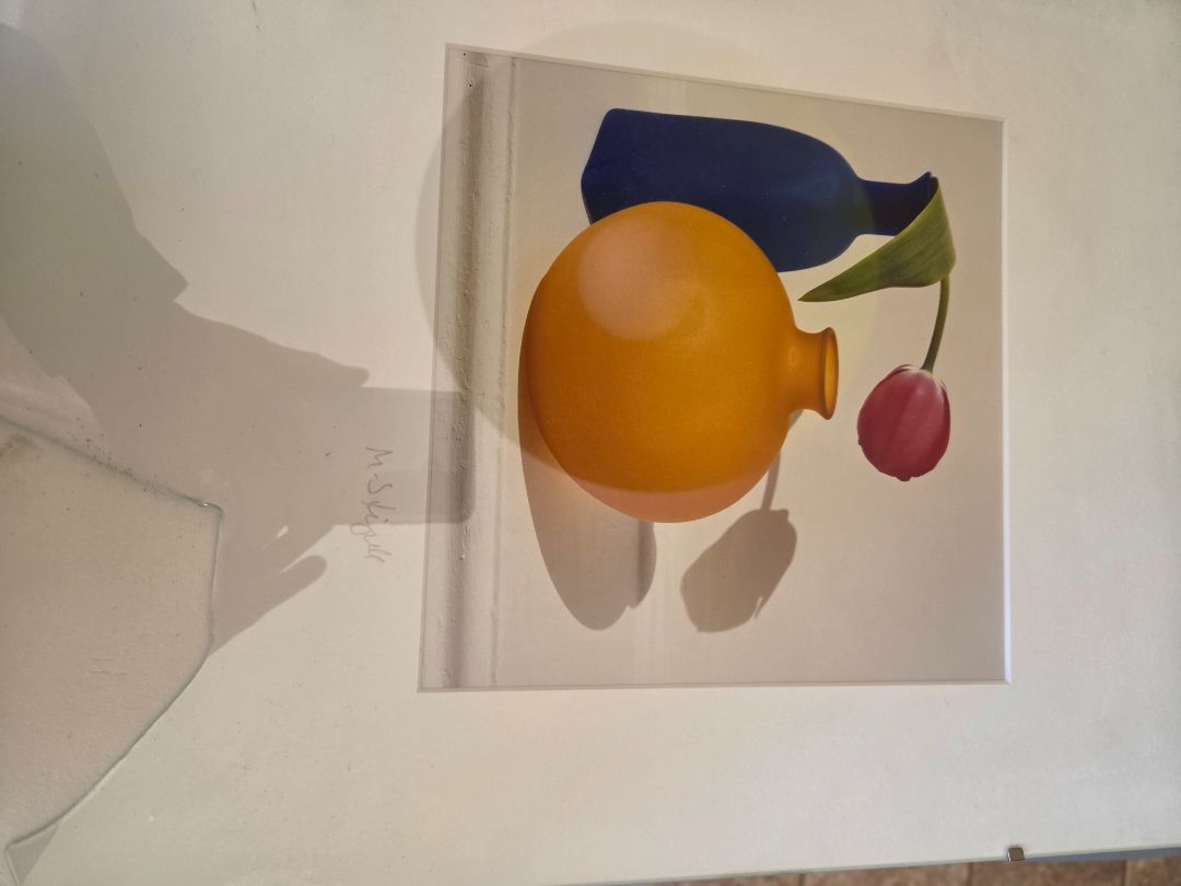 VASE AND FLOWER PHOTO