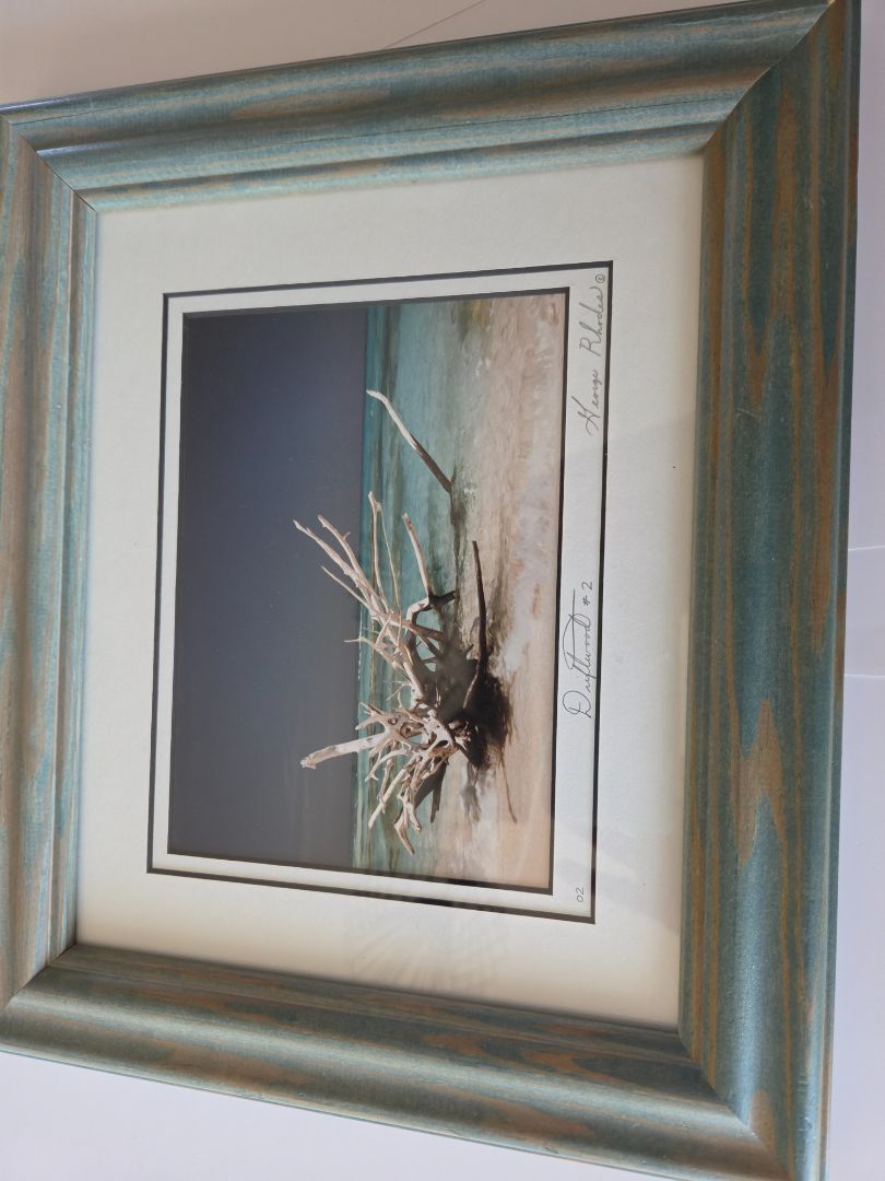 Photo- Driftwood #2
