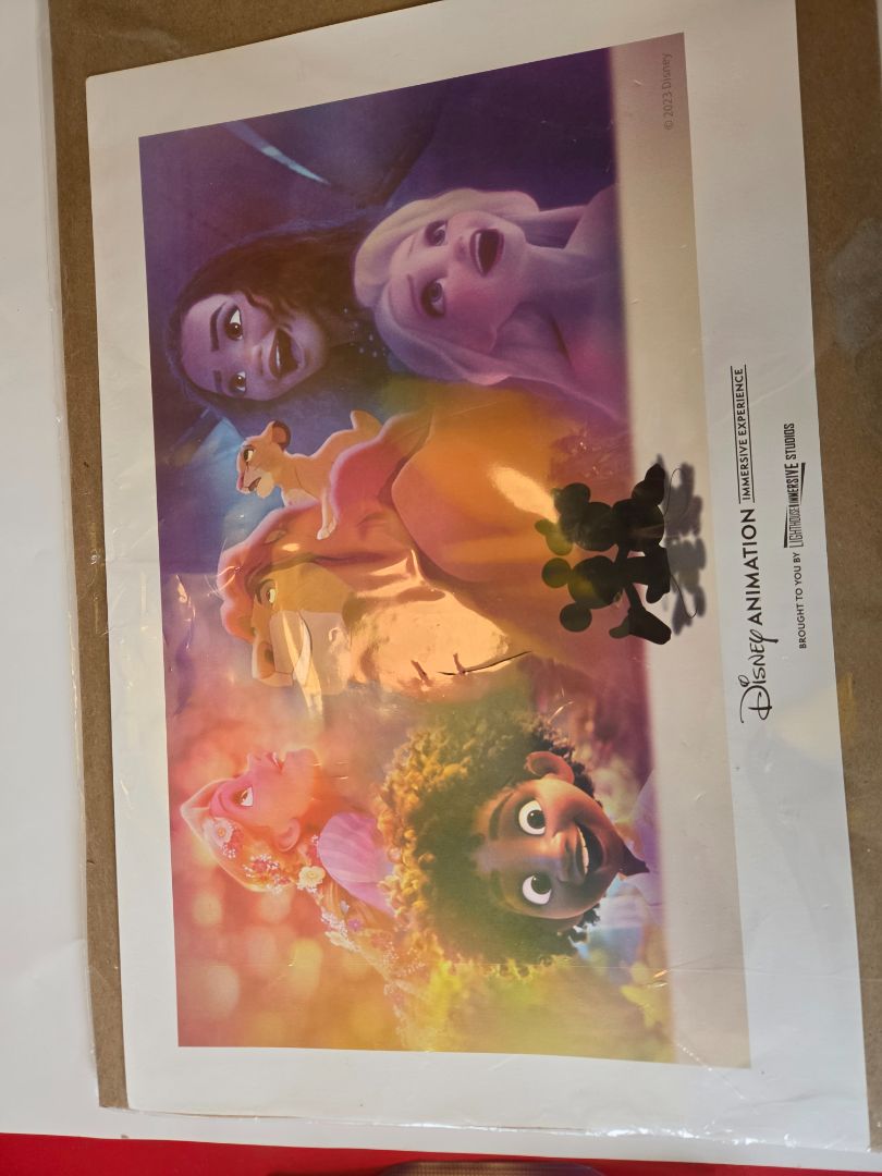 Disney Animation imersive print