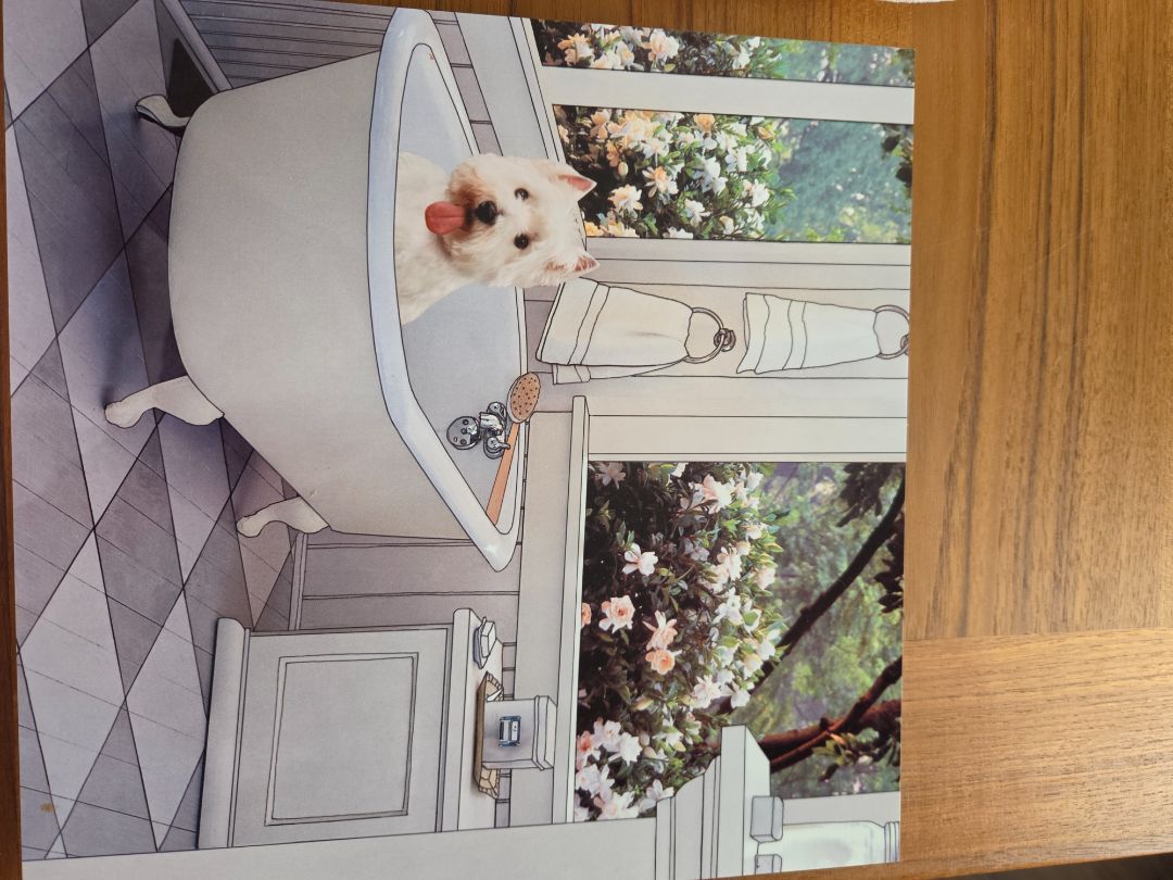 White dog in bathtub- on metal