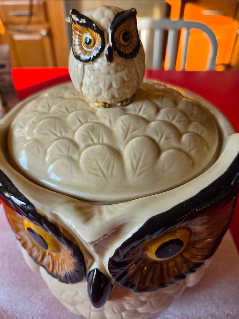 Owl Cookies Jar