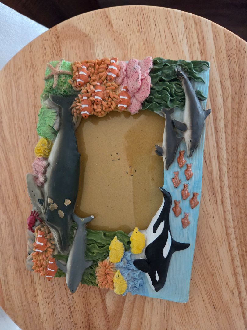 Ocean Picture frame with multi fish