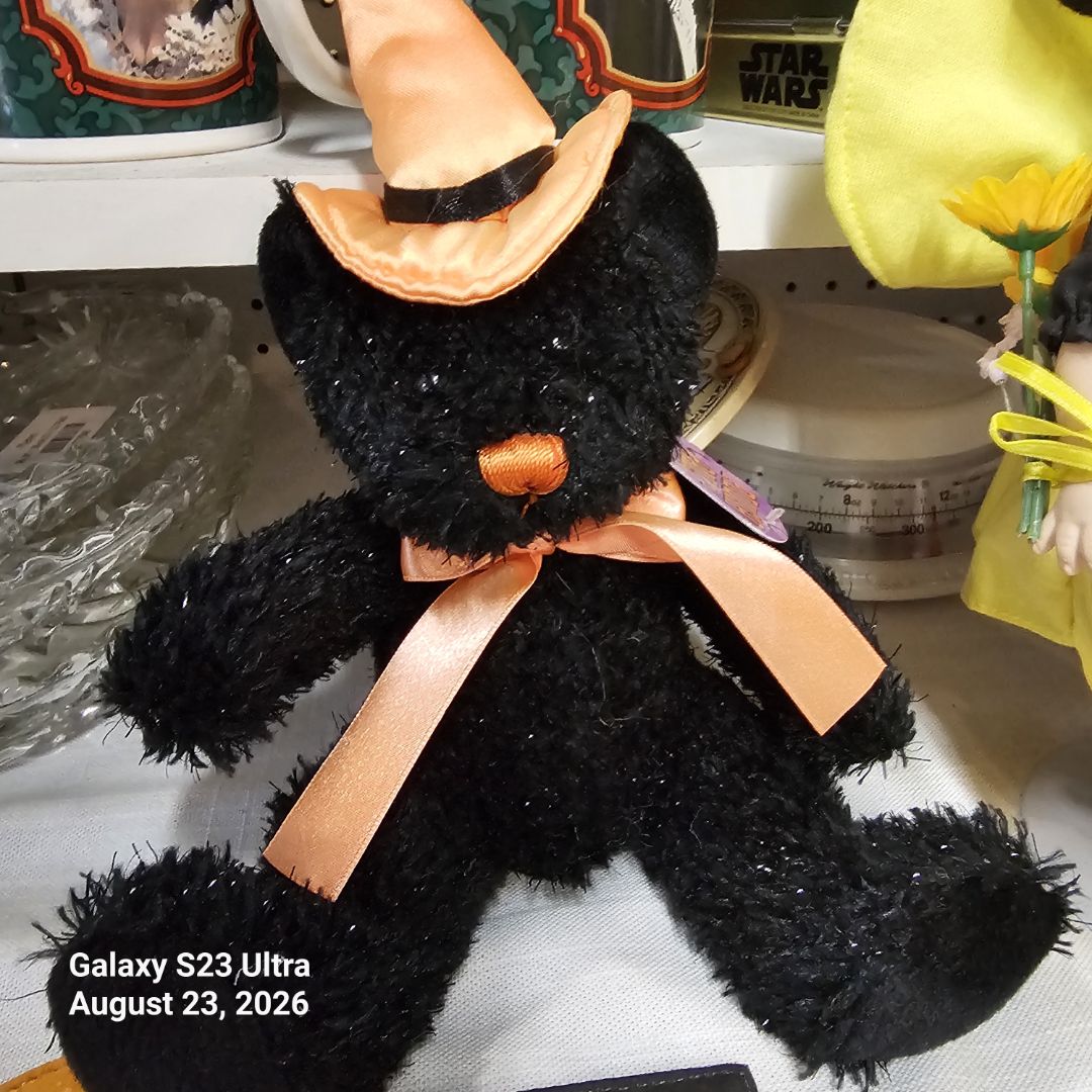 Bear