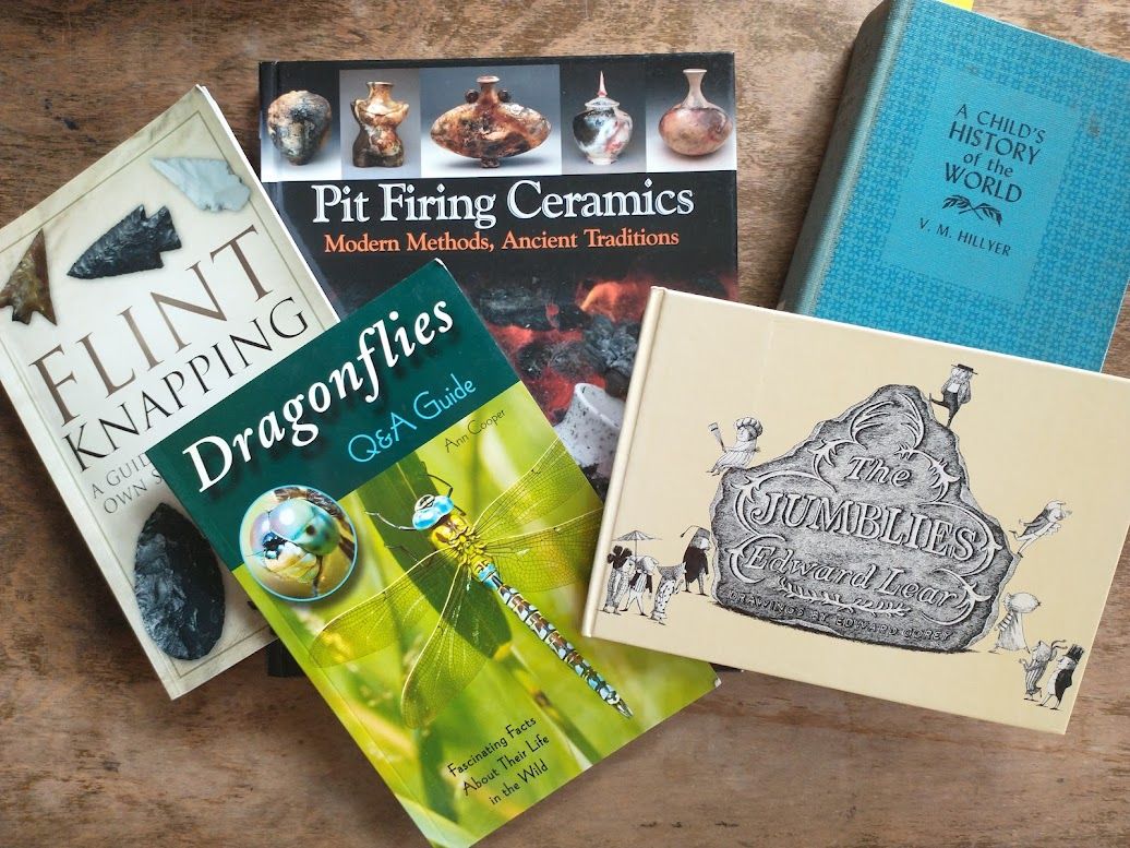 20 Buck Books