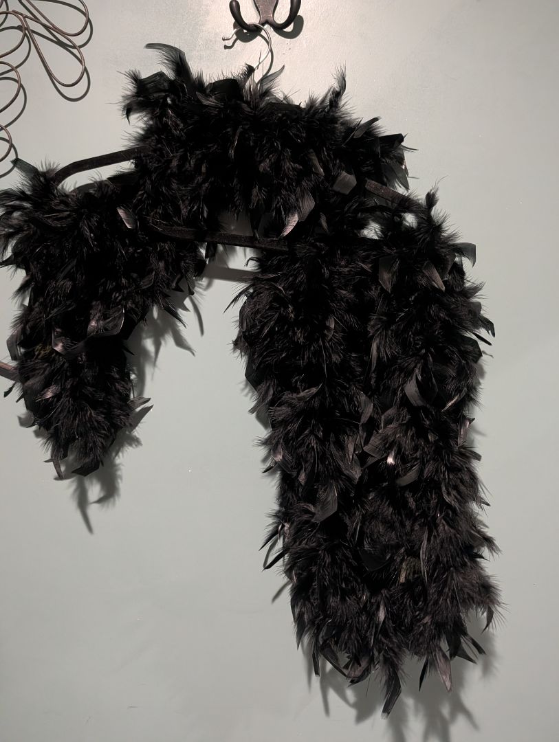 Feather Boa