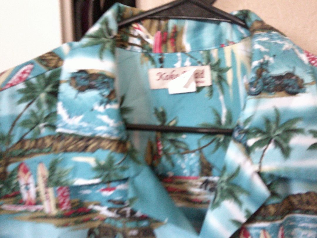 Hawaiian Shirt, L