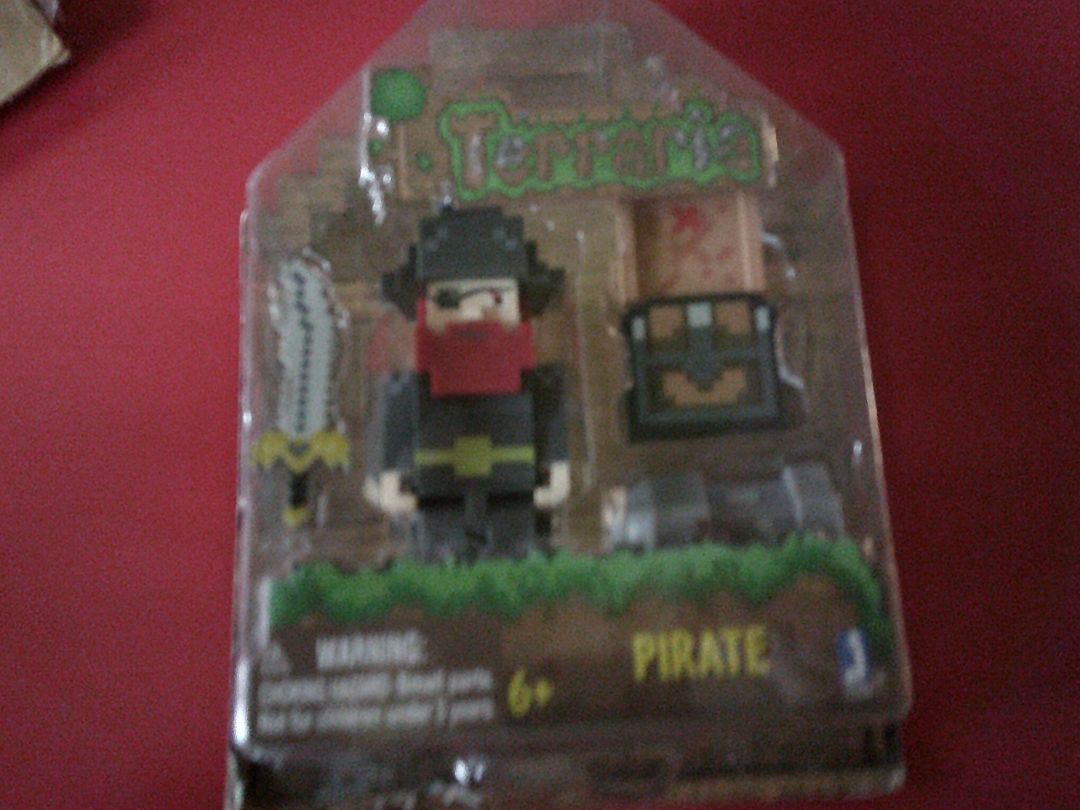 TERRARIA-PIRATE