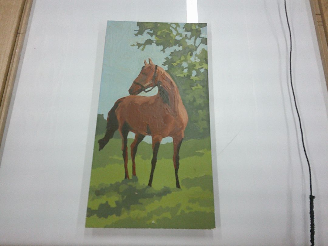 Paint by number Horse #2