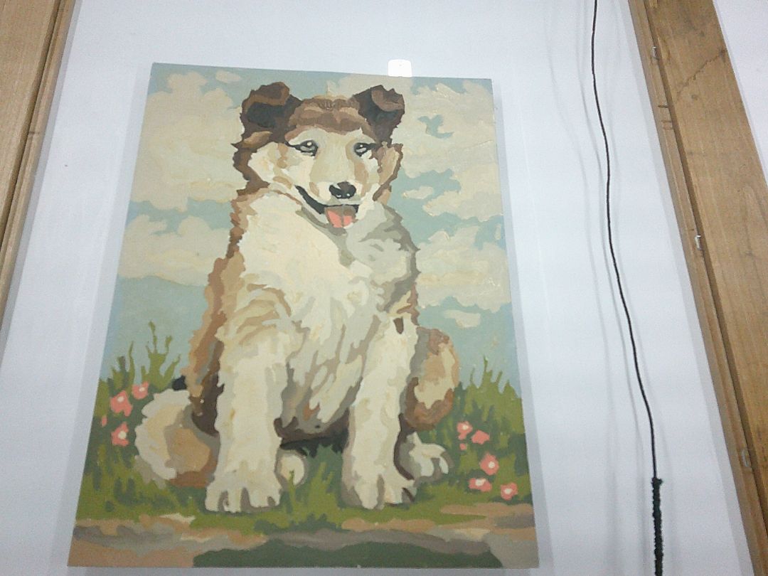 Paint by number DOG