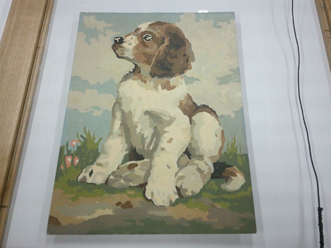 PAINT BY NMBER DOG #2