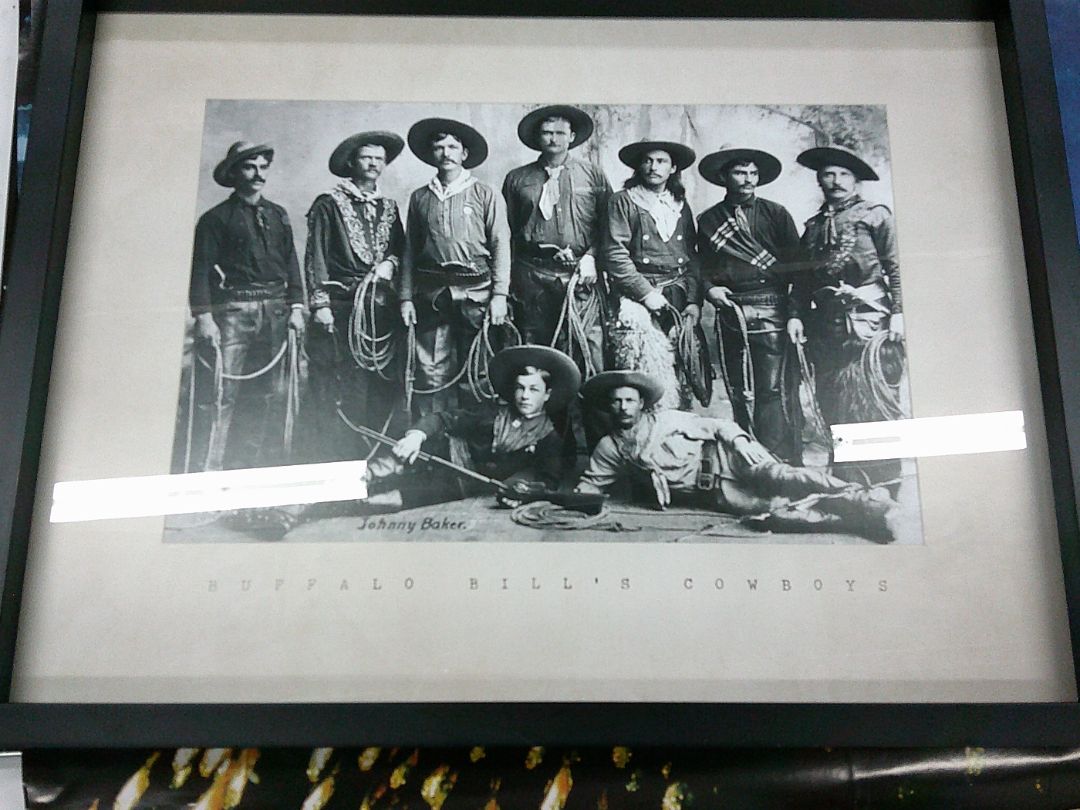 BUFFALO COWBOY PRINT