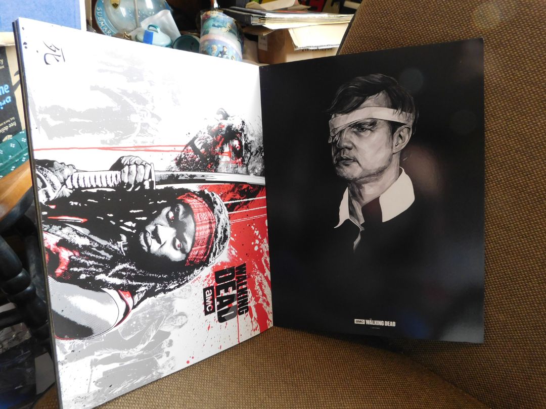 Walking Dead Poster Book