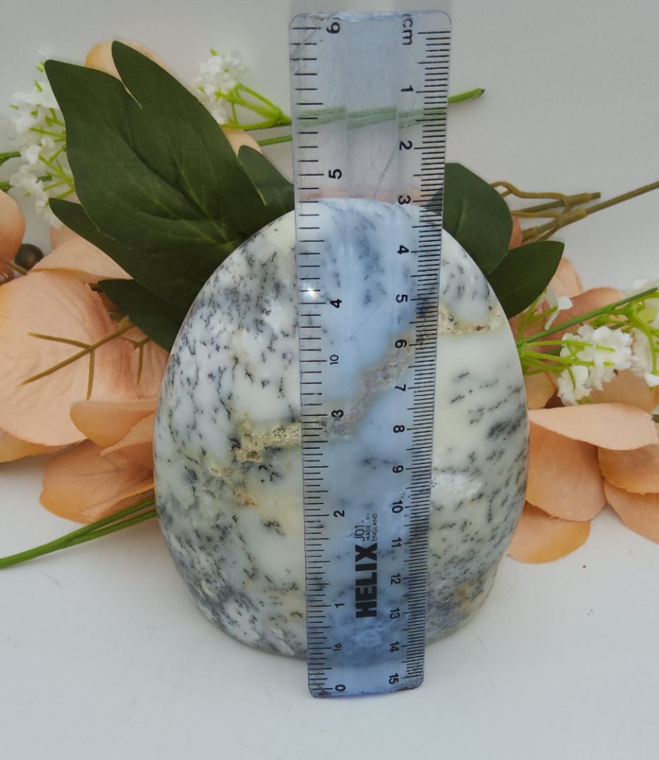 Dendritic Opal Free-Form Stones