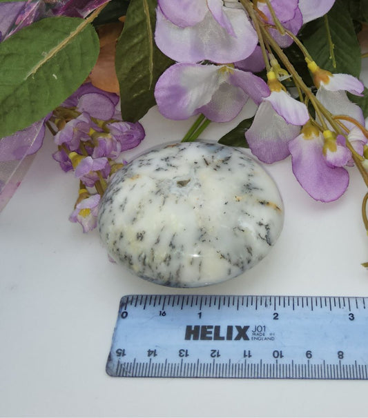 Dendritic Opal Palm Stone Stones