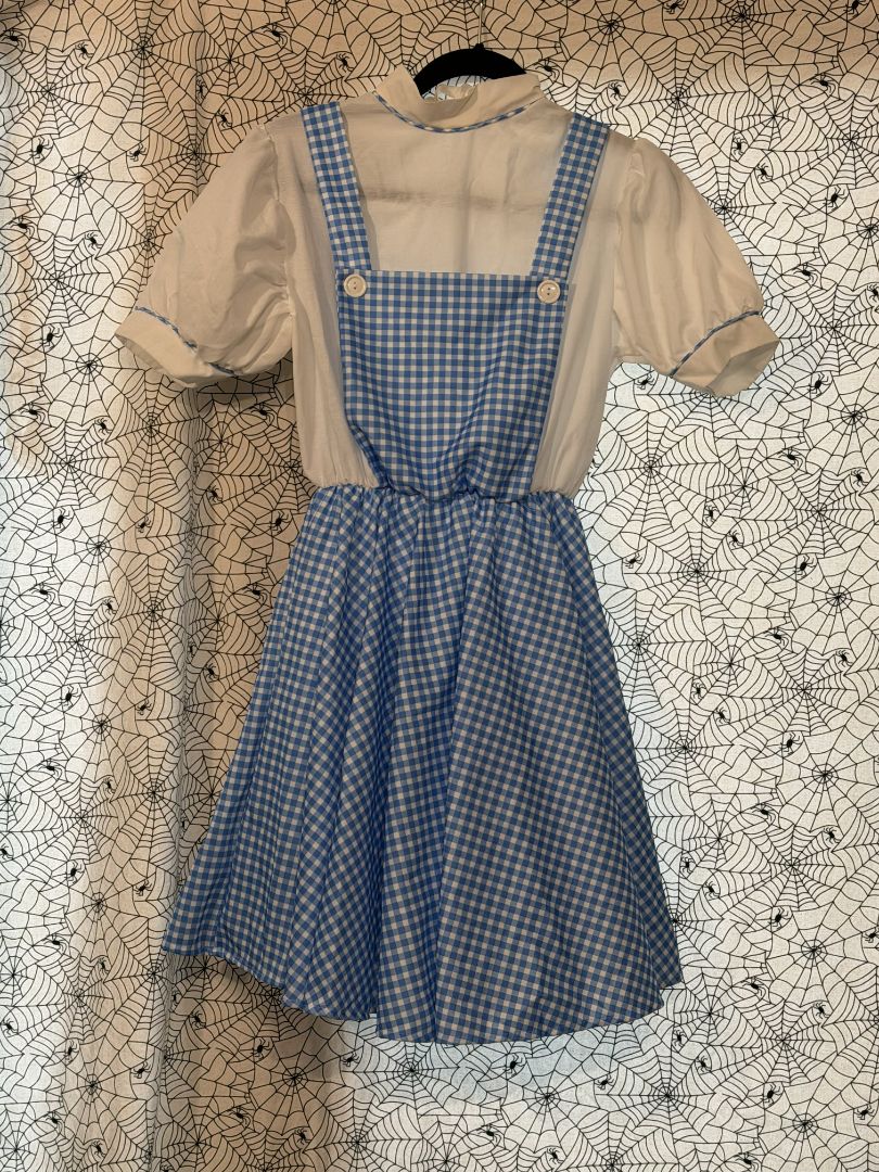 Dorothy Halloween Costume