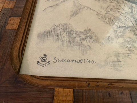 Rama Samaraweera Rama Samaraweera Clouded Leopard Lithograph ca early-70s, 26 x 34