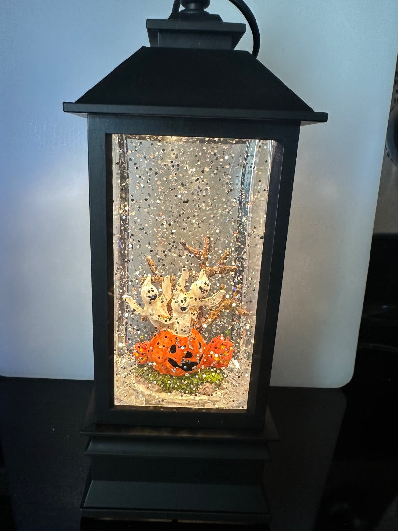Lighted Snow Globe