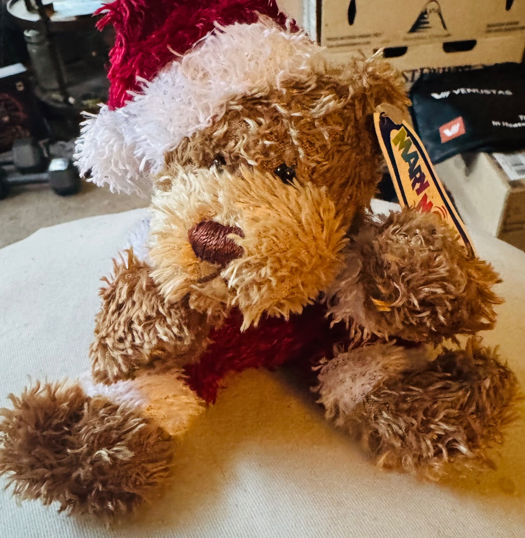 Mery Meyer Santa Bear