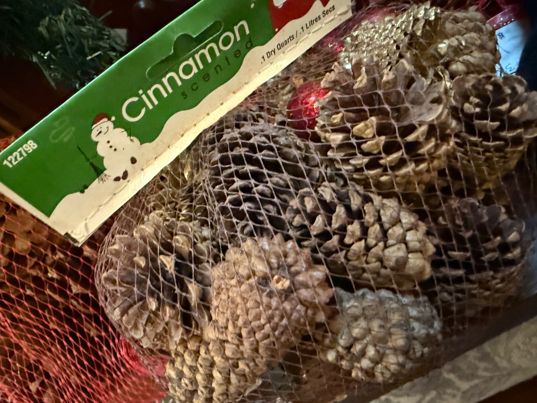 Christmas Decor - Cinnamon Pinecones