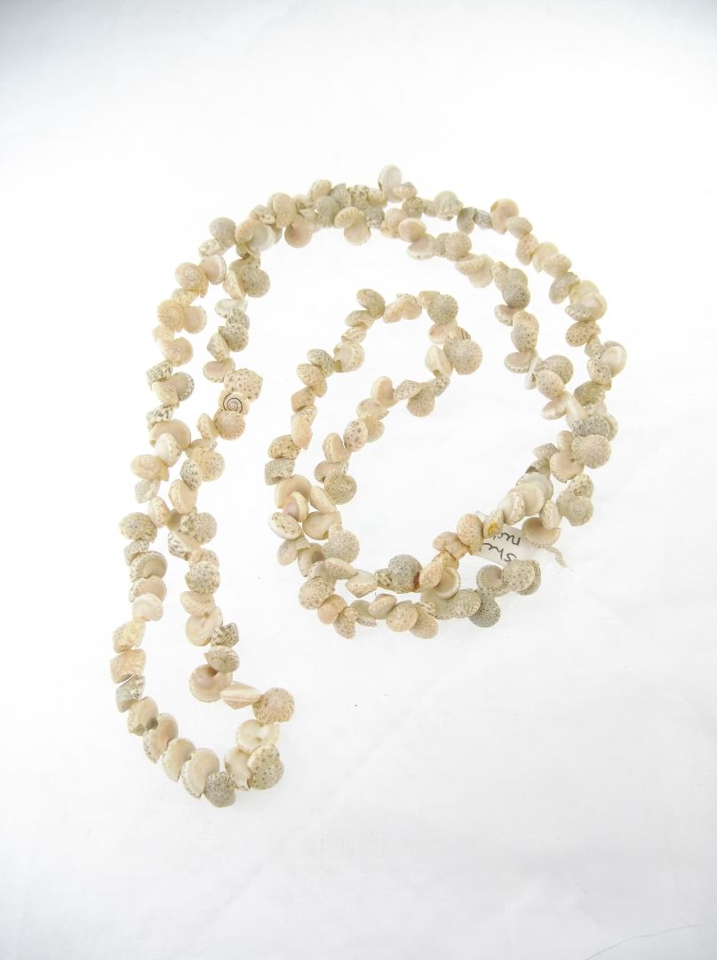 Shell necklace